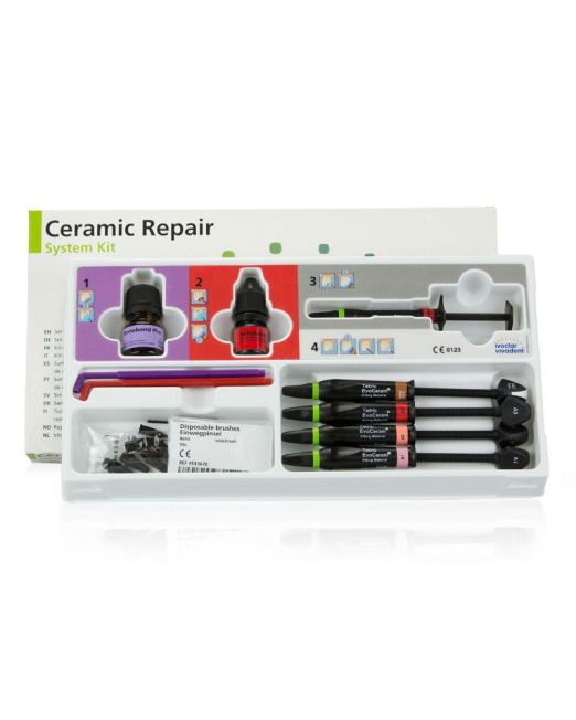 ceramic repair kit